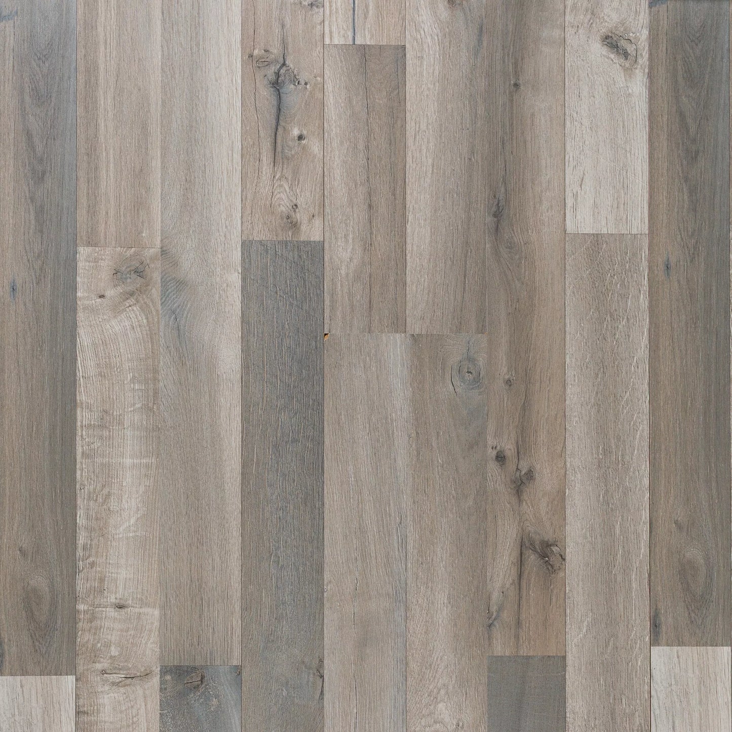 Vancouver Oak Laminate 8mm Thick $1.39/sf 22.93sf/box